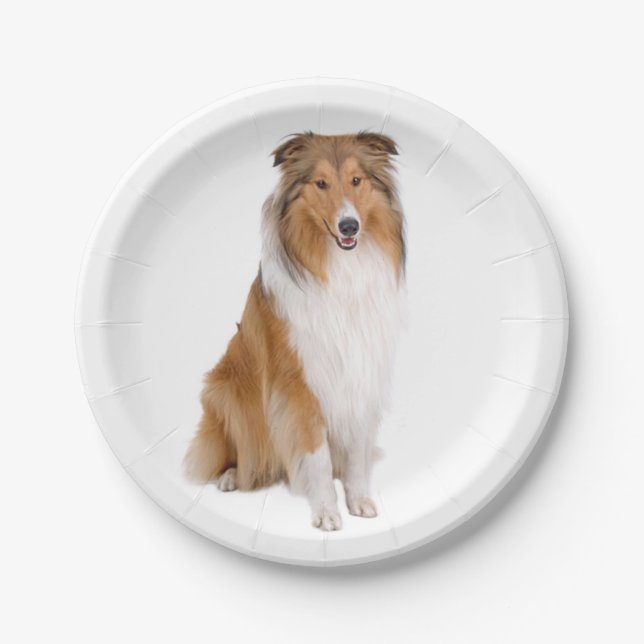 Assiettes En Carton Coupe Collie, Amoureux des chiens chiot (Devant)