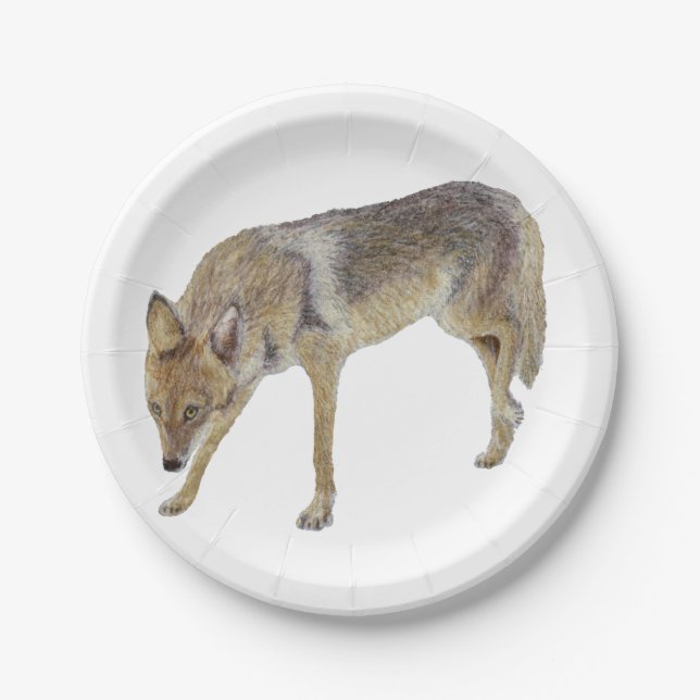 Assiettes En Carton Coyote (Devant)