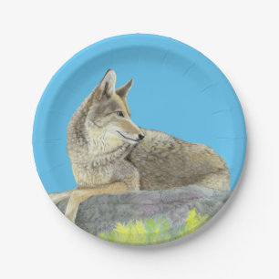 Assiettes En Carton Coyote