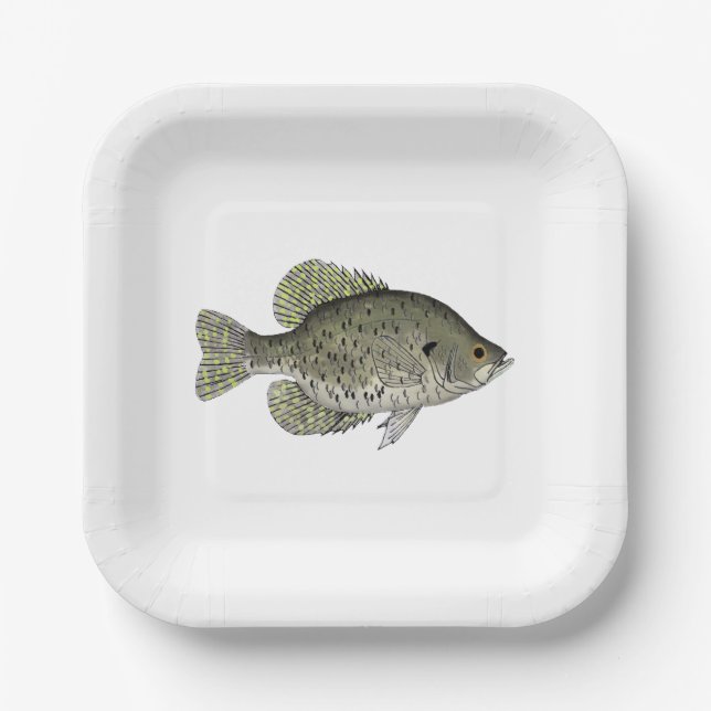Assiettes En Carton Crappie noire (Recto)