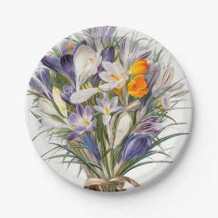 Assiettes En Carton Crocus Spring Flower Botanique Floral Art