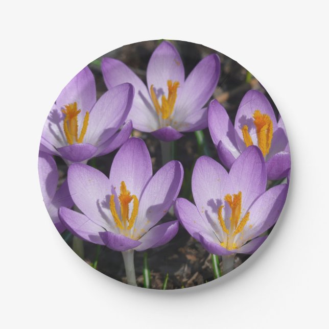 Assiettes En Carton Crocus violets ensoleillés (Devant)