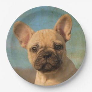 Assiettes En Carton Cru mignon de chiot de bouledogue français, parti