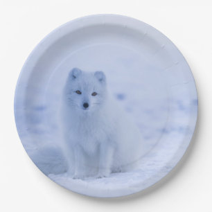 Assiettes En Carton Cute Arctic Fox sur Snowy Winter Arrière - plan