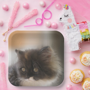 Assiettes En Carton Cute chat