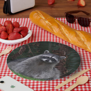 Assiettes En Carton Cute Forest Raccoon Photo Faune