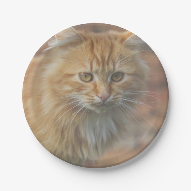 Assiettes En Carton Cute Funky Ginger Chat Kitten Visage (Devant)