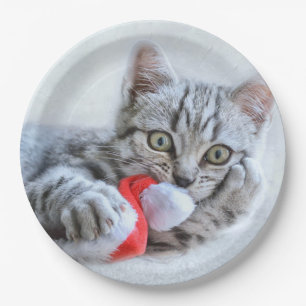 Assiettes En Carton Cute Grey Tabby Chat Noël Casquette Noël Noël Noël