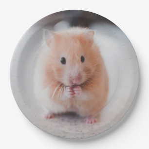 Assiettes En Carton Cute Hamster Love Animals