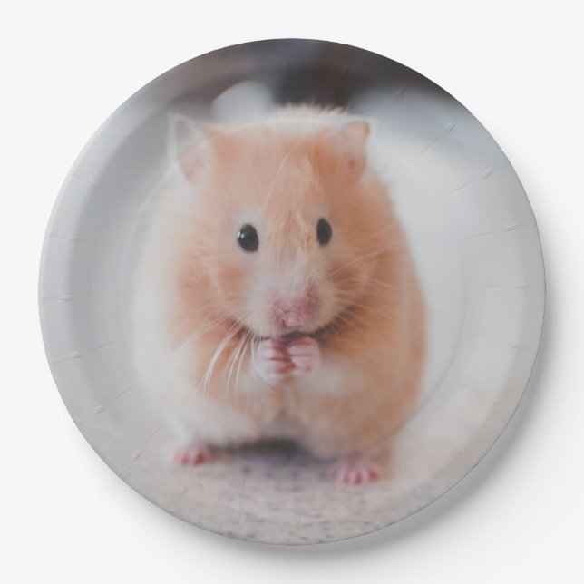 Assiettes En Carton Cute Hamster Love Animals (Devant)