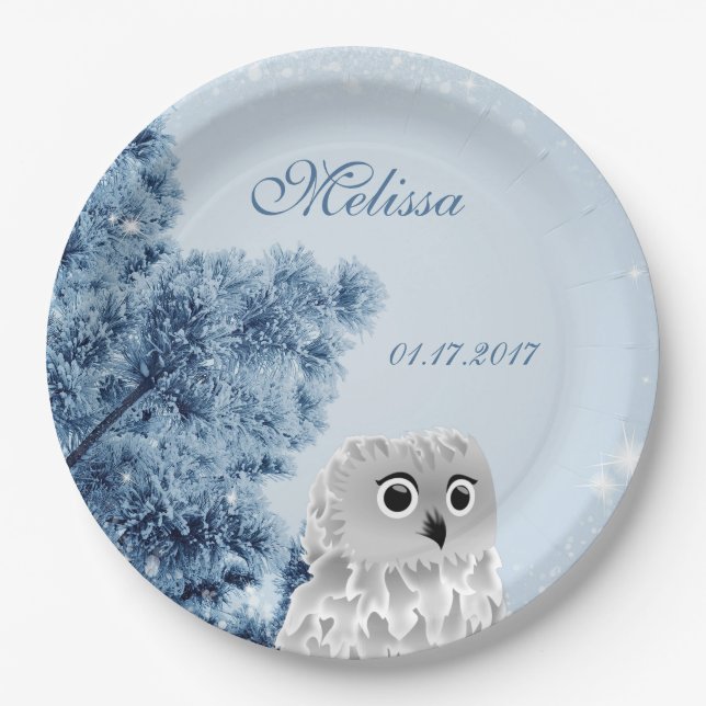 Assiettes En Carton Cute Owl Winter Kids Custom Birthday Party (Devant)