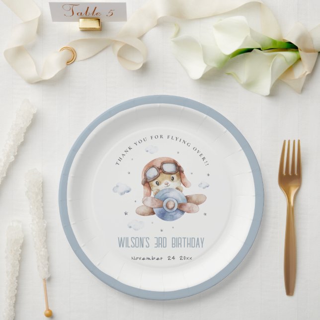 Assiettes En Carton Cute Rust Marine Enfants Avion Étoiles Sky Teddy A (Mariage)