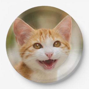 Assiettes En Carton Cute Smiling Kitten Visage Drôle Chat Meow Photo -