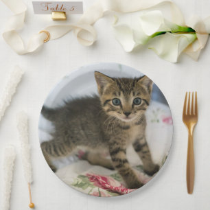 Assiettes En Carton Cute Tabby Kitten À L'Air Surpris