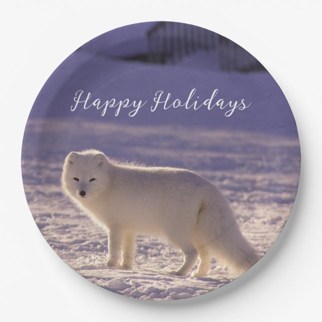 Assiettes En Carton Cute White Arctic Fox neige hiver Photographie (Devant)