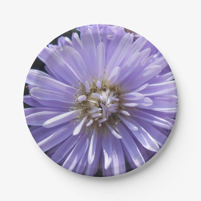 Assiettes En Carton Cyrène (Devant)