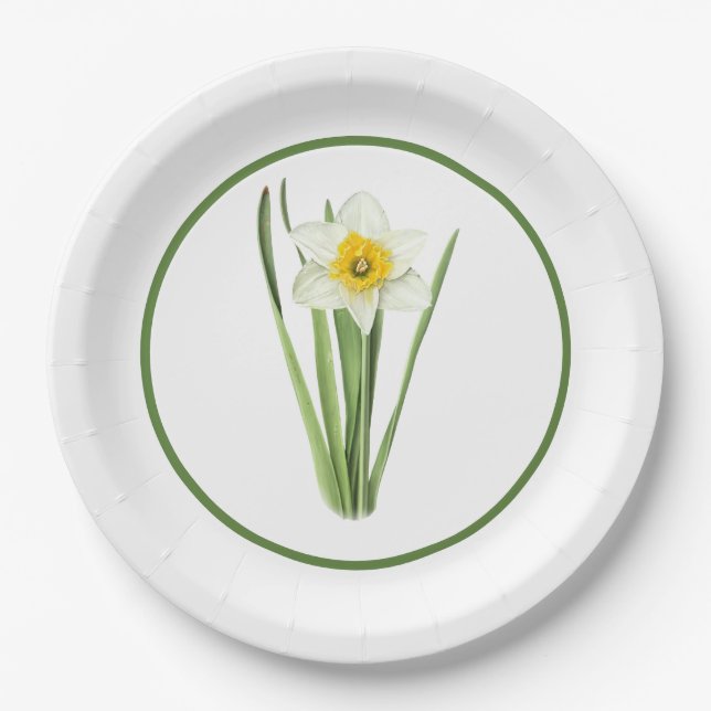 Assiettes En Carton Daffodil Fleur Bordé Art Botanique (Devant)