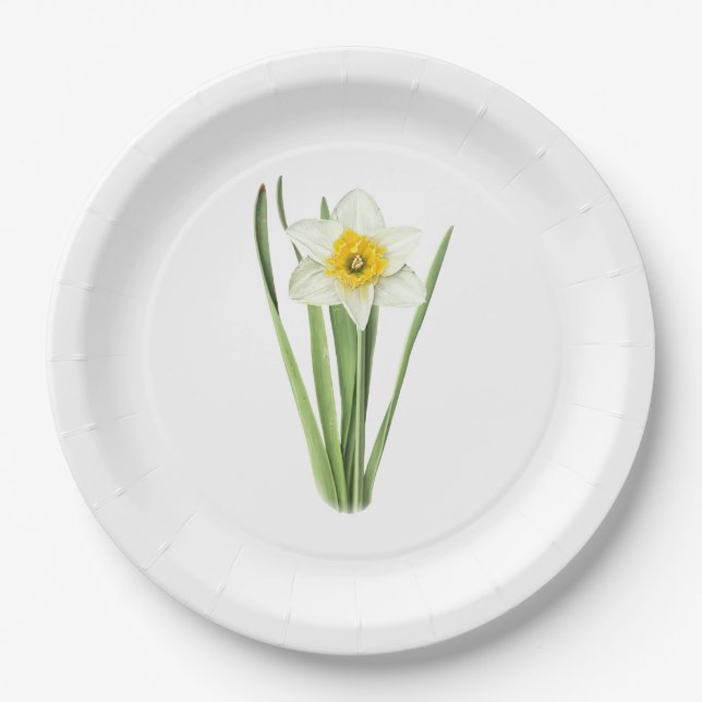 Assiettes En Carton Daffodil Fleur Botanique (Devant)