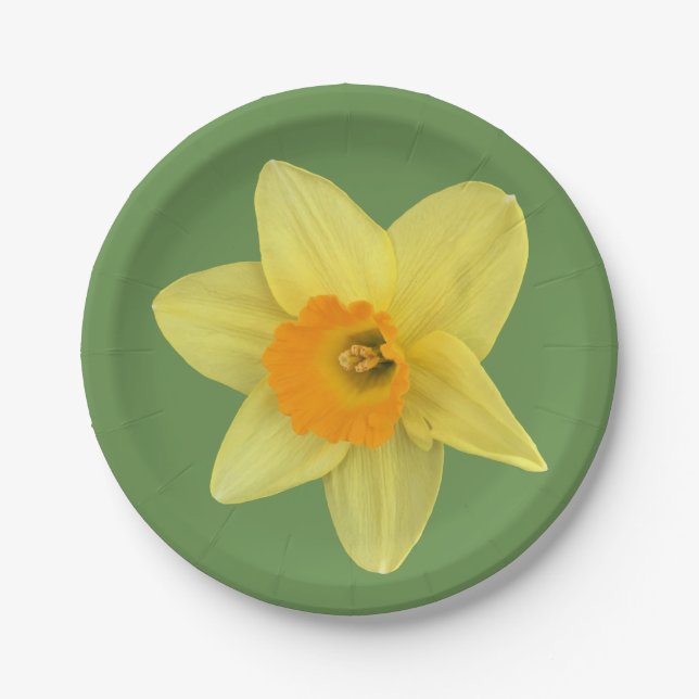 Assiettes En Carton Daffodique de printemps jaune (Devant)