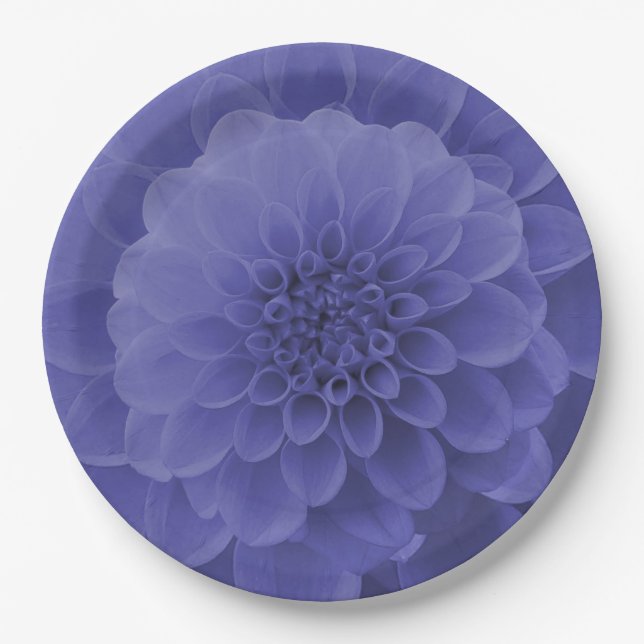 Assiettes En Carton Dahlia bleu (Devant)