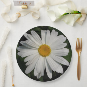 Assiettes En Carton Daisy Flowers Photographie Art