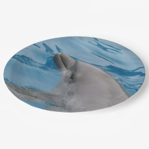 Assiettes En Carton Dauphin gracieux nageant dans de l'eau bleue clair