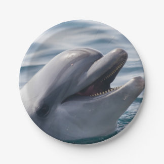 Assiettes En Carton Dauphin souriant en gros plan dans de l'eau bleu v