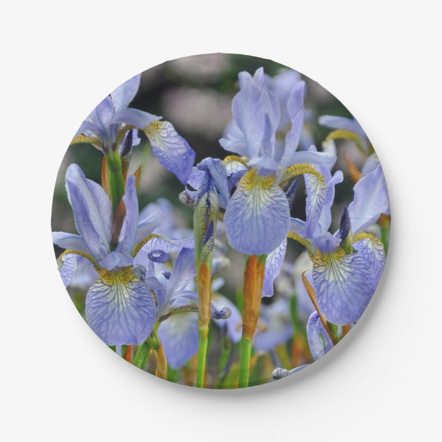 Assiettes En Carton De belles fleurs d'iris (Devant)