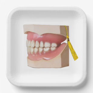 Assiettes En Carton Dentist Dental School Graduation Party