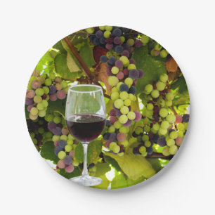 Assiettes En Carton Des raisins pourpres poussent sur la vigne avec du
