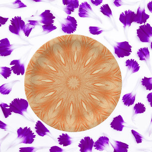 Assiettes En Carton Design en tulle fausse orange