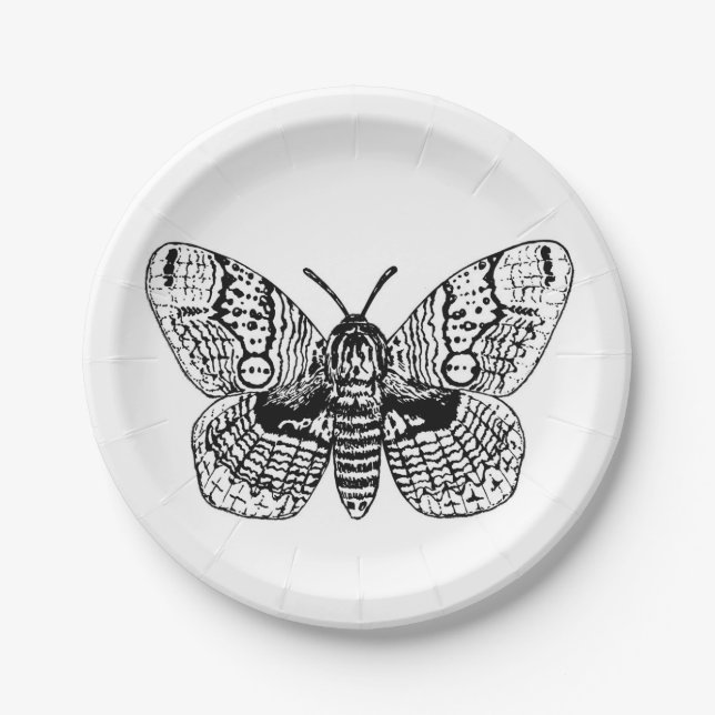 Assiettes En Carton Dessin Brahmin moth (Devant)