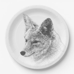 Assiettes En Carton Dessin Coyote