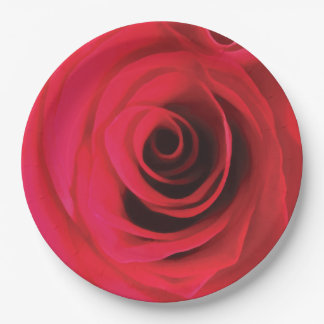 Assiettes En Carton Détail floral de bourgeon de rose rouge feu