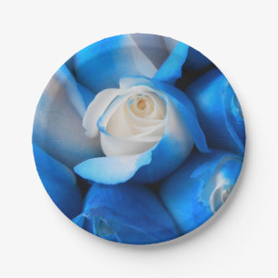 Assiettes En Carton Diemudis