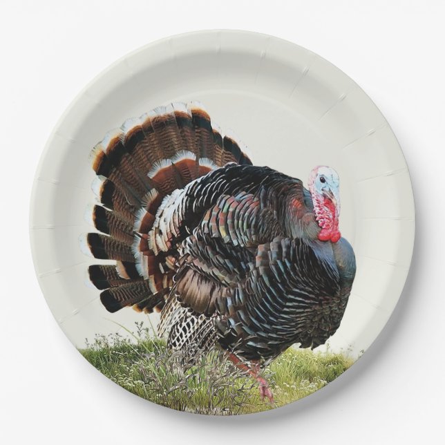 Assiettes En Carton Dinde sauvage (Devant)