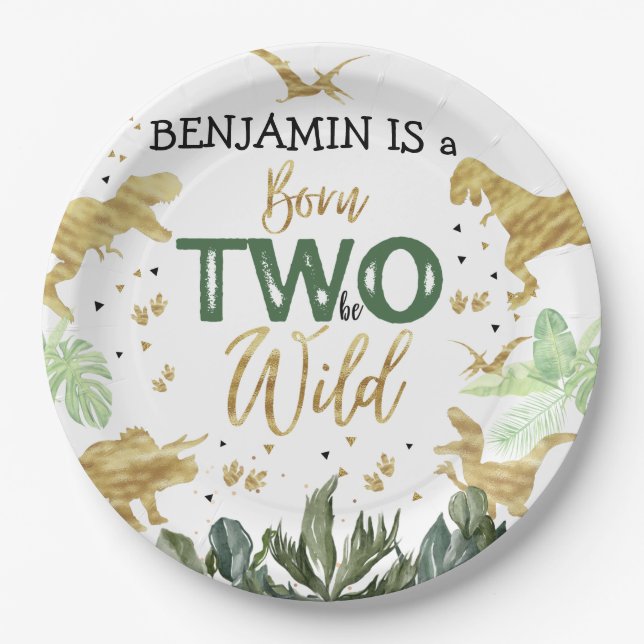 Assiettes En Carton Dinosaur 2e fête d'anniversaire (Devant)