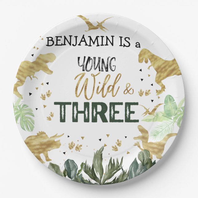 Assiettes En Carton Dinosaur 3ème anniversaire garçon fête (Devant)