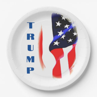 Assiettes En Carton Donald Trump American Flag Pop Art