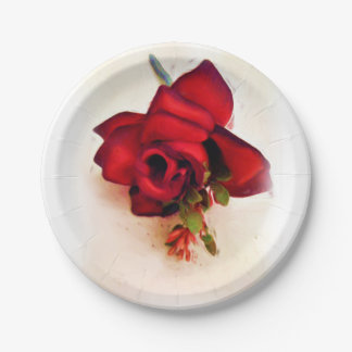 Assiettes En Carton Douce Rose_