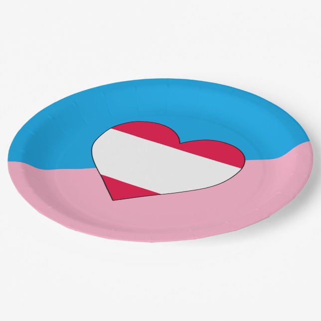 Assiettes En Carton Drapeau de fierté de jeu d'âge (Angle)