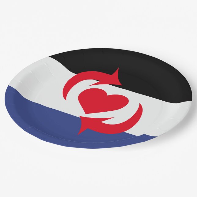 Assiettes En Carton Drapeau de la fierté Switch (Angle)