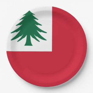 Assiettes En Carton Drapeau de la Nouvelle-Angleterre