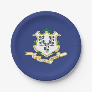Assiettes En Carton Drapeau de l'État du Connecticut
