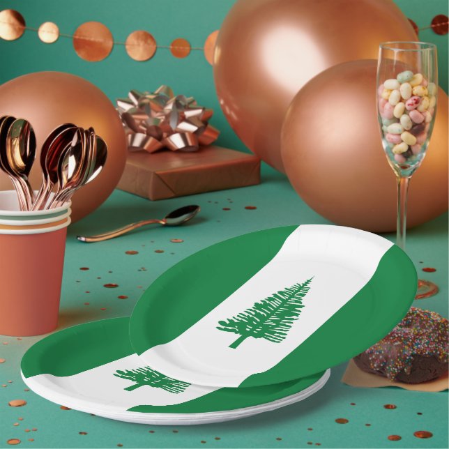 Assiettes En Carton Drapeau de l'île Norfolk (Multi)
