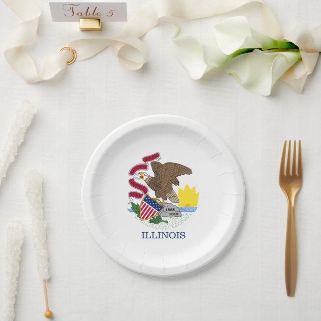 Assiettes En Carton Drapeau de l'Illinois (Mariage)