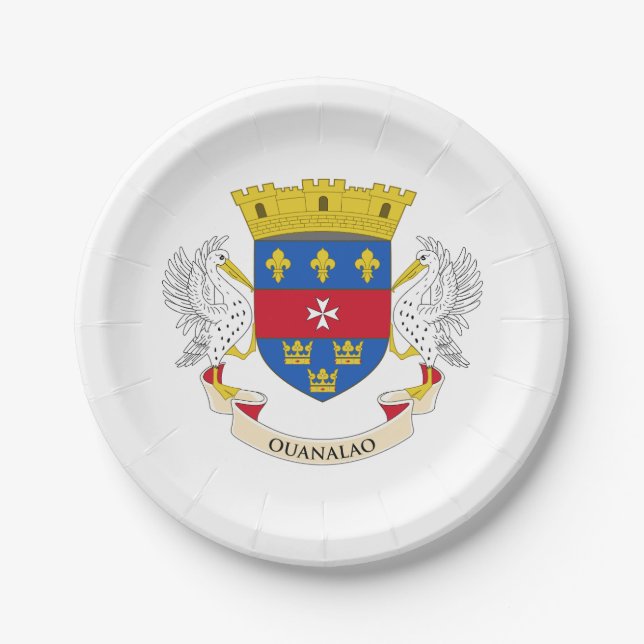 Assiettes En Carton Drapeau de Saint-Barthélemy (Devant)