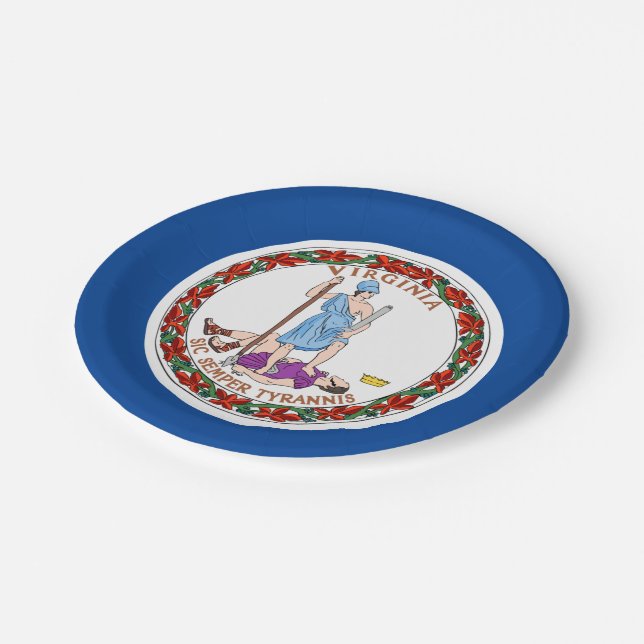 Assiettes En Carton Drapeau de Virginie (Angle)