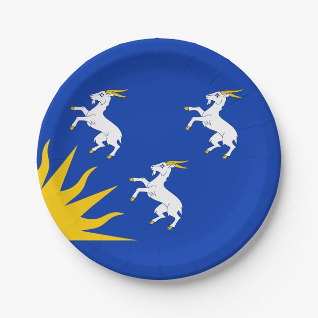 Assiettes En Carton Drapeau des plaques de papier Merionethshire (Devant)