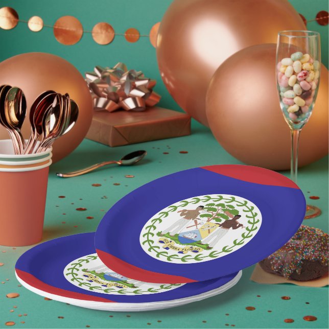 Assiettes En Carton Drapeau du Belize (Multi)